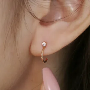 [14K Gold] Have Earrings