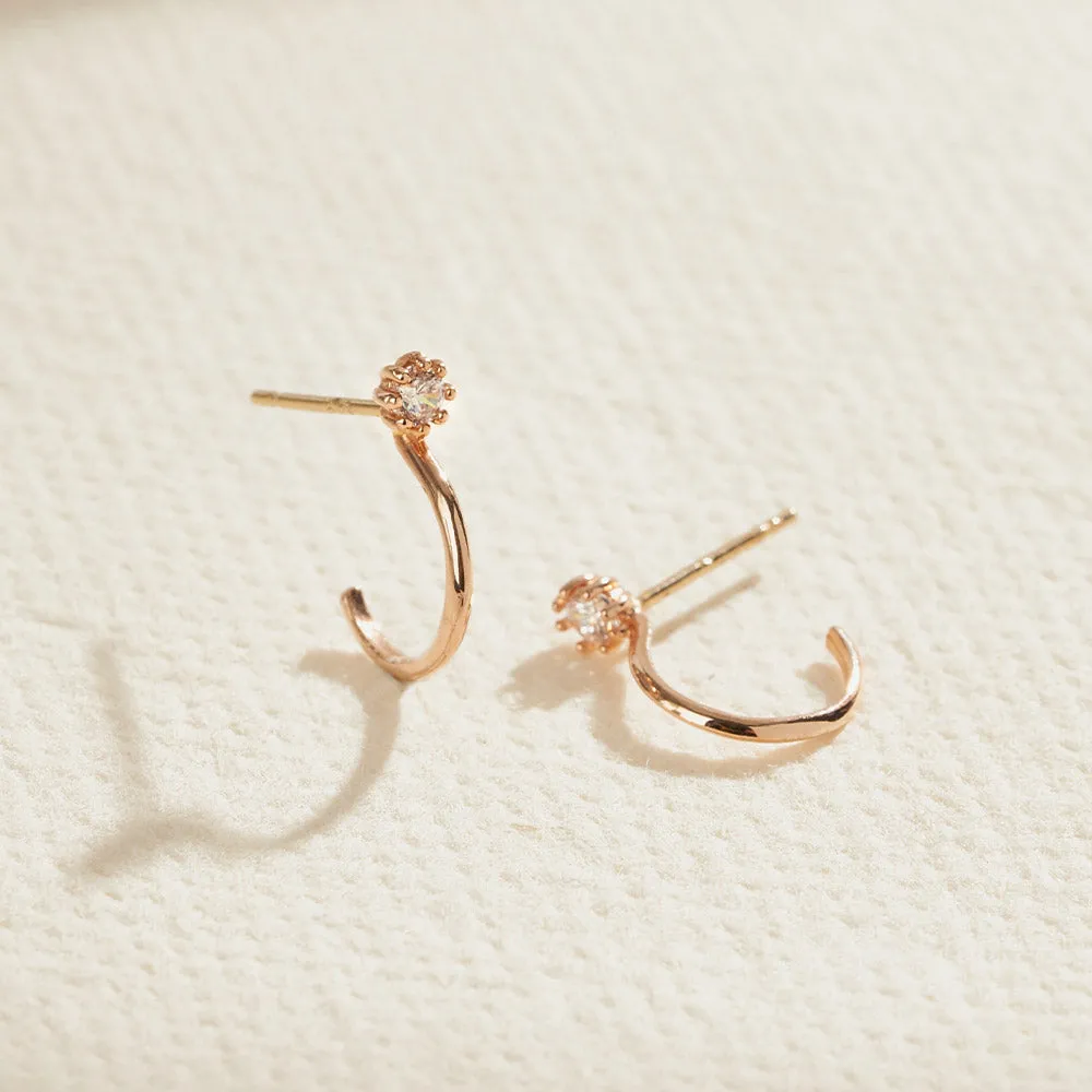 [14K Gold] Have Earrings