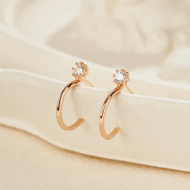 [14K Gold] Have Earrings