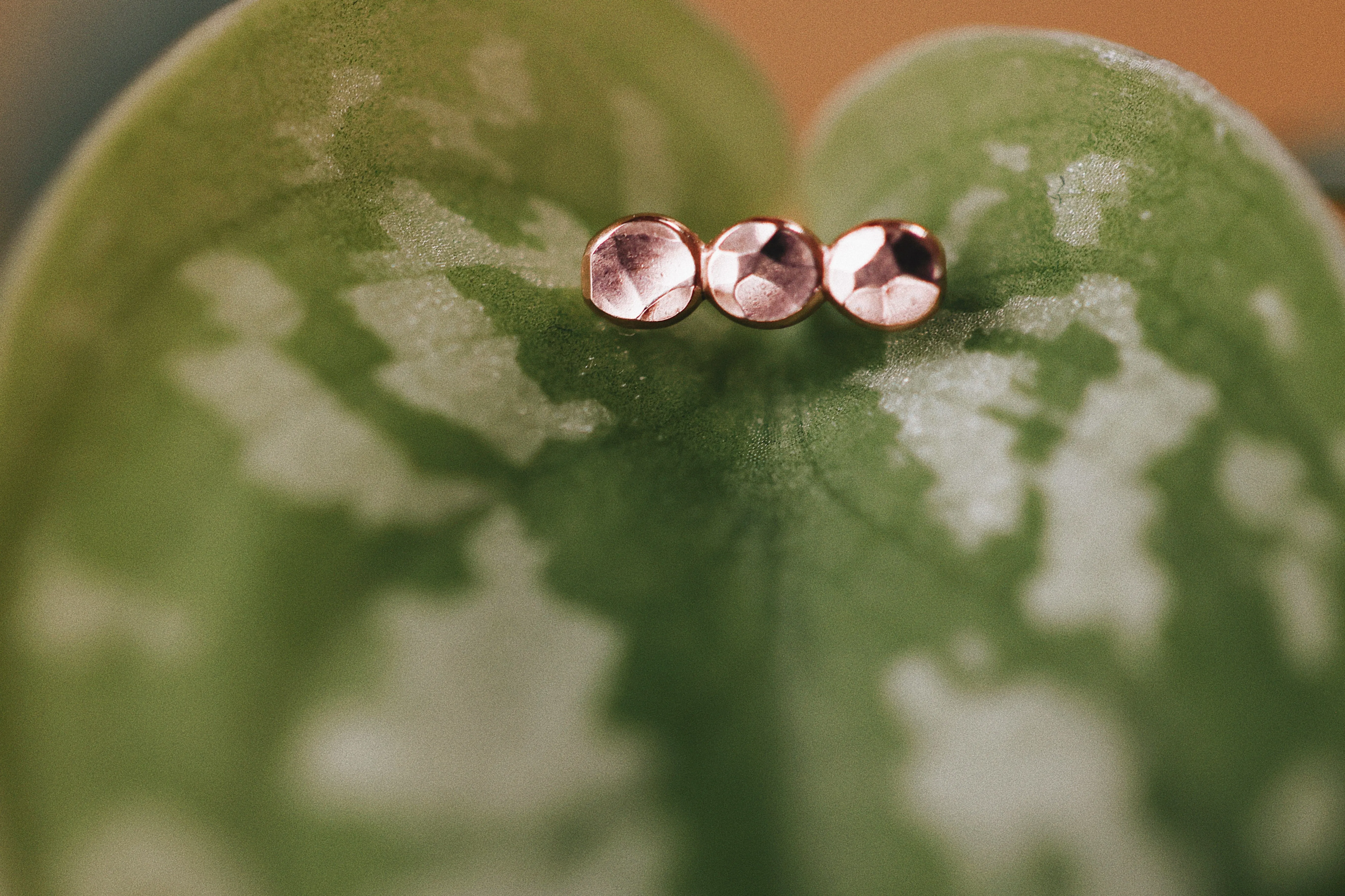 Pebble Stud Earrings