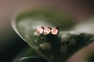 Pebble Stud Earrings
