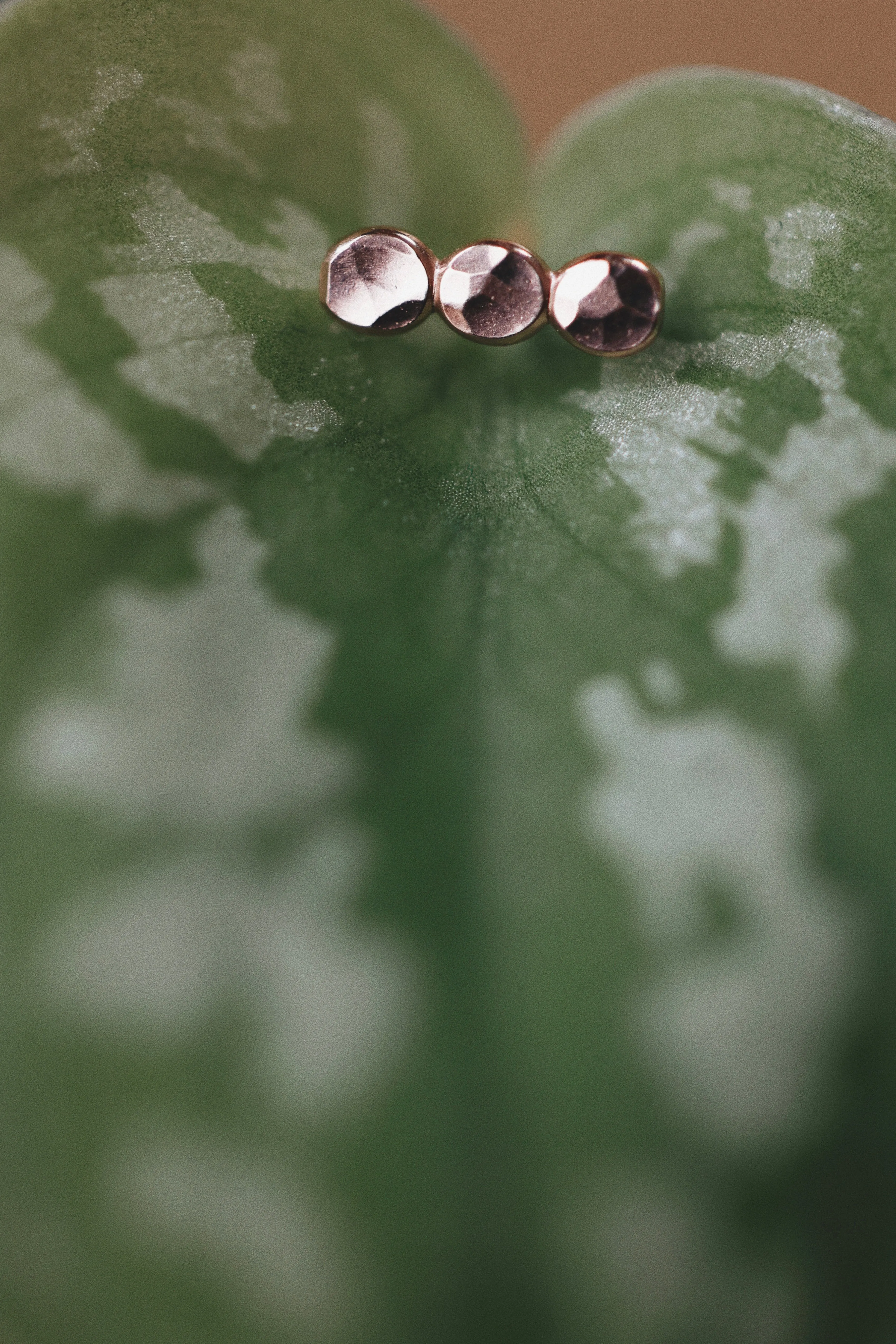 Pebble Stud Earrings