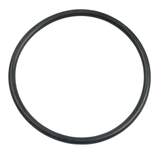 Pump O-Rings