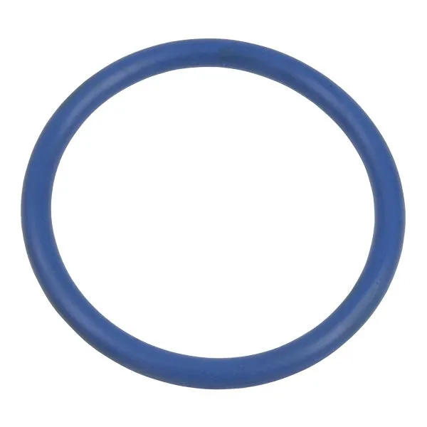 Pump O-Rings